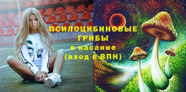 соль ск Алексеевка