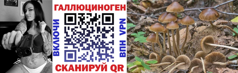 Галлюциногенные грибы Psilocybine cubensis  omg как войти  Заозёрный 